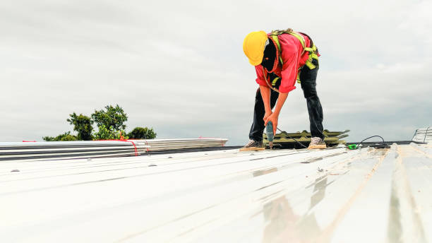 Best Roof Insulation Installation  in Daly City, CA