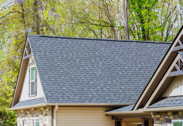 Best Roof Maintenance and Cleaning  in Daly City, CA